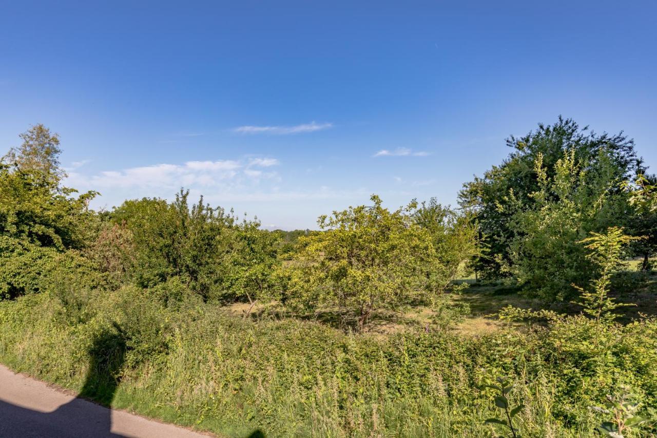 Danny Lodge - Country Cottage Near Brighton By Huluki Sussex Stays Hurstpierpoint Екстериор снимка