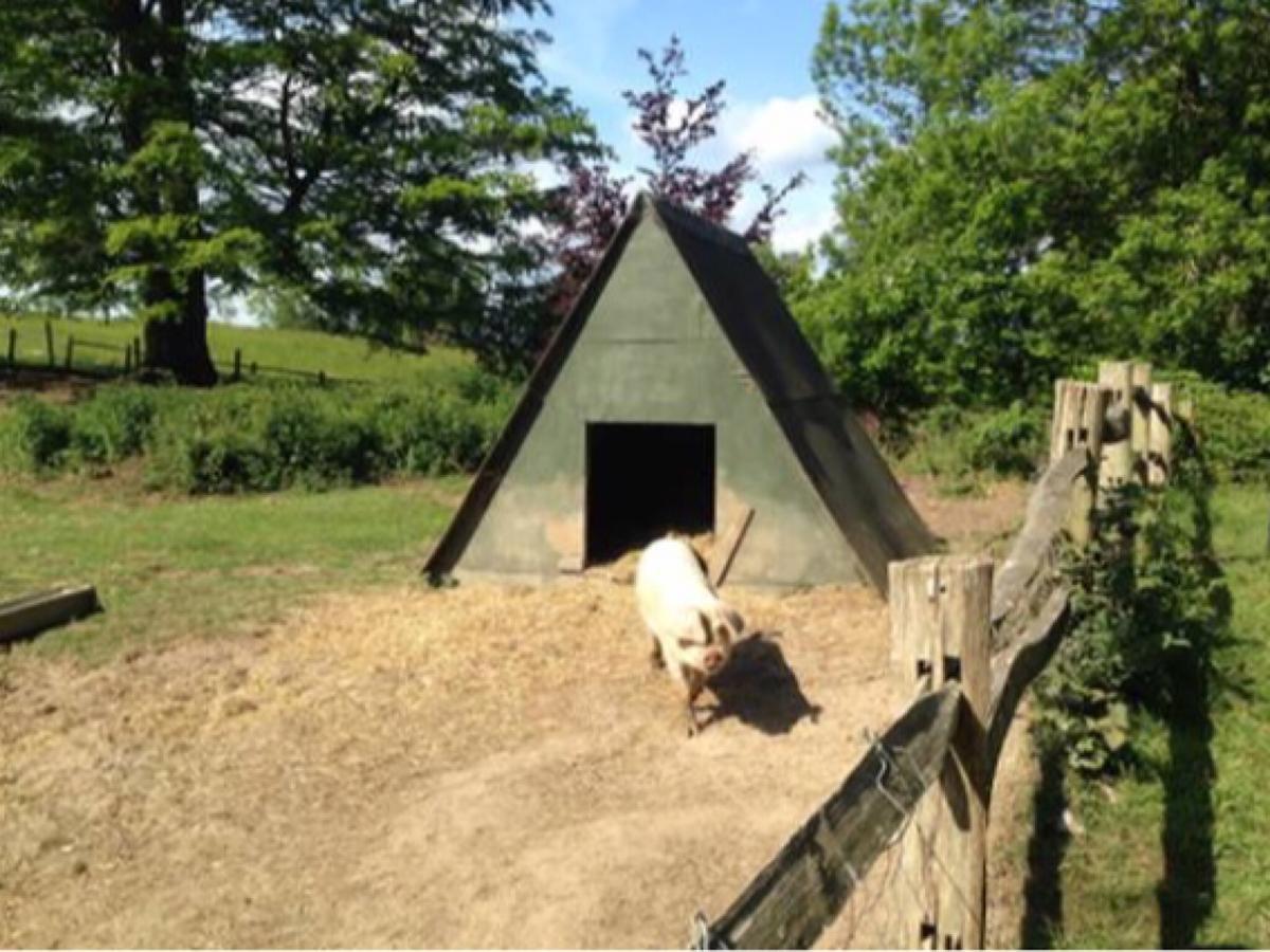 Danny Lodge - Country Cottage Near Brighton By Huluki Sussex Stays Hurstpierpoint Екстериор снимка